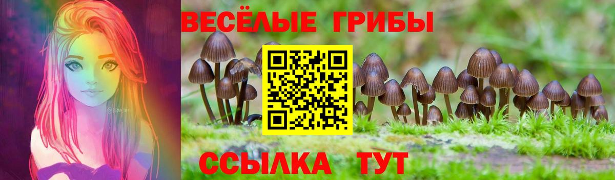 Сергиев Посад  Псилоцибиновые грибы мицелий  Вход с VPN  Псилоцибиновые грибы MAGIC MUSHROOMS 